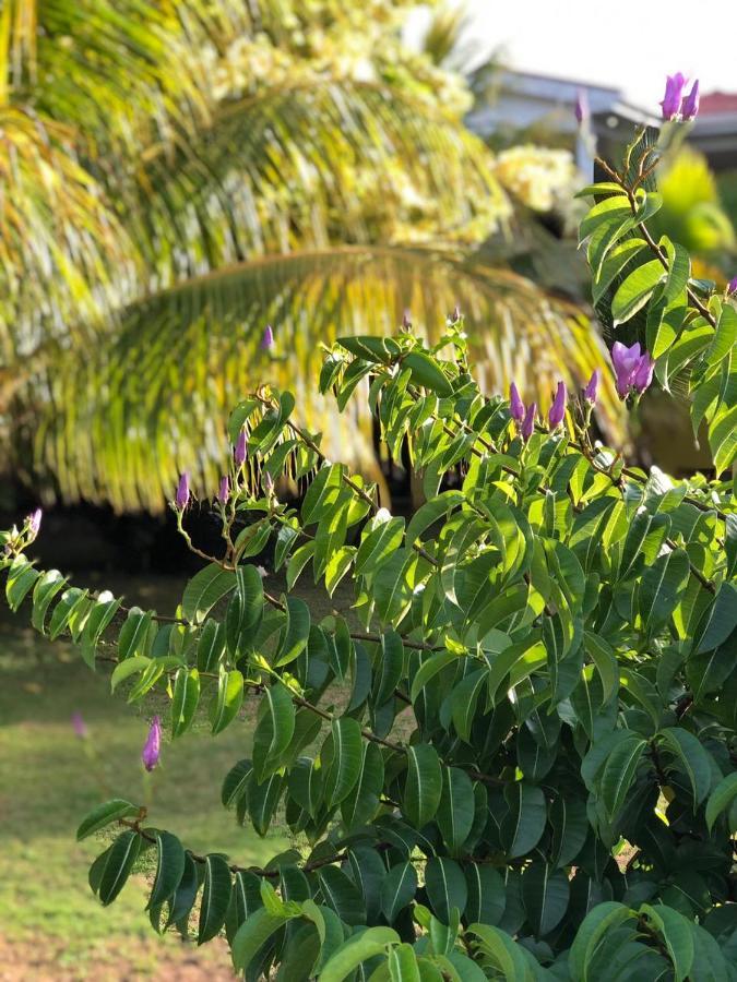 Sunshine Hotel Pulau Little Corn Luaran gambar